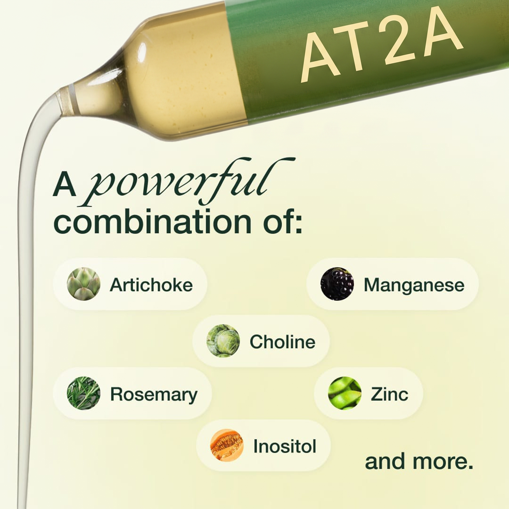 AT2A Belly Fat Protocol